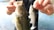 A happy customer holding a fishing rod with a catch, showcasing baits and lures.