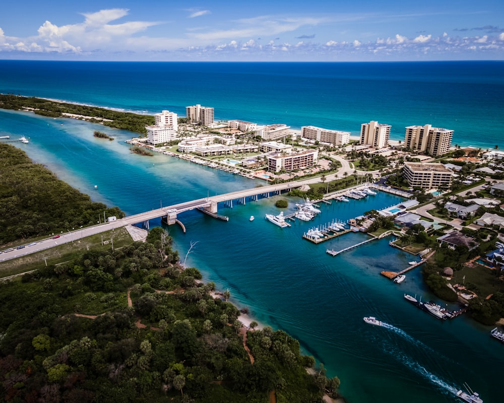 aerial view of city buildings near body of water during daytime