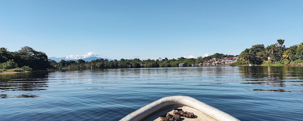 body of water near trees during daytime