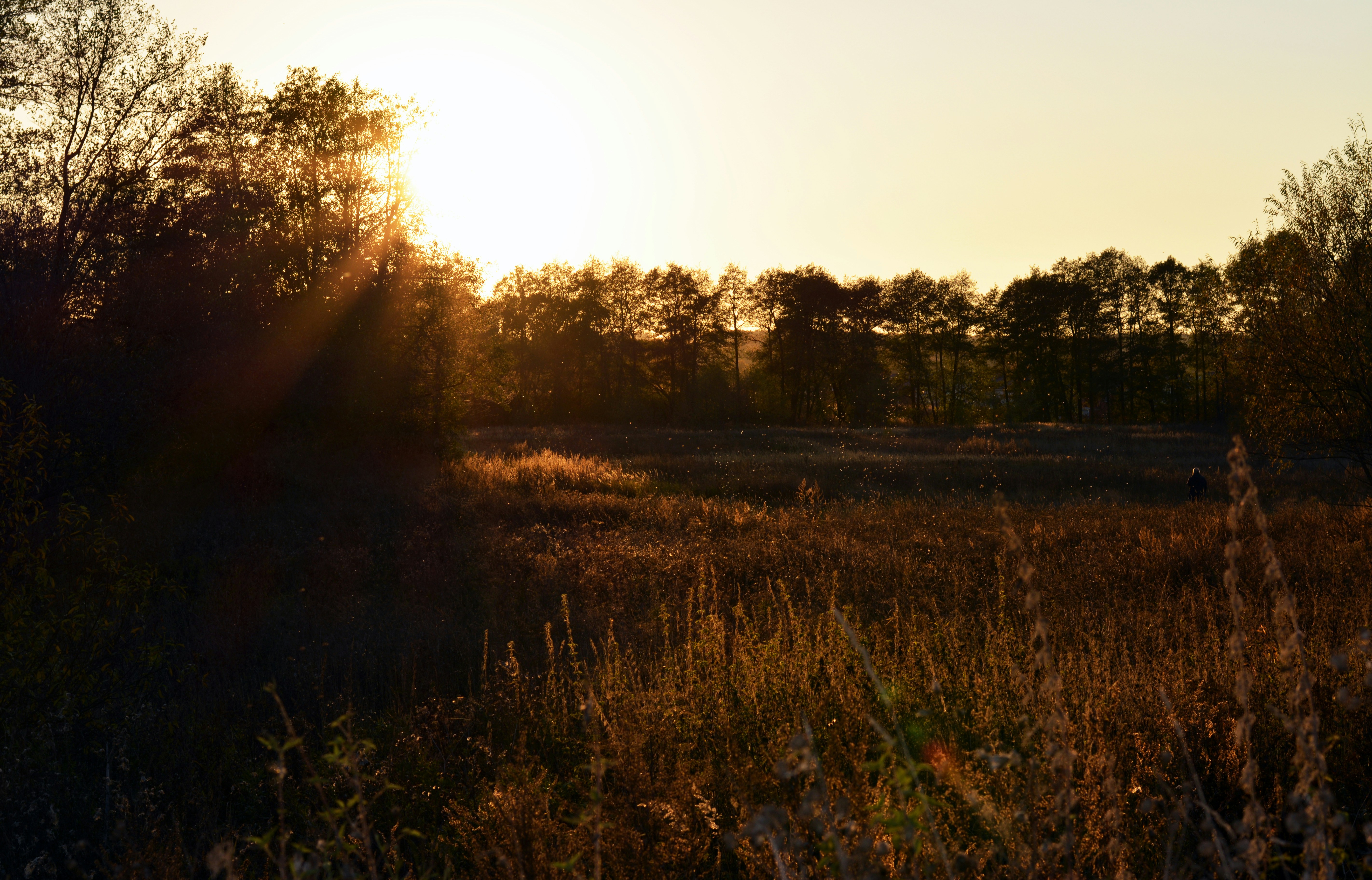 Photo by anastasmile