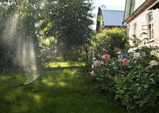 a sprinkler is spraying water on a lawn