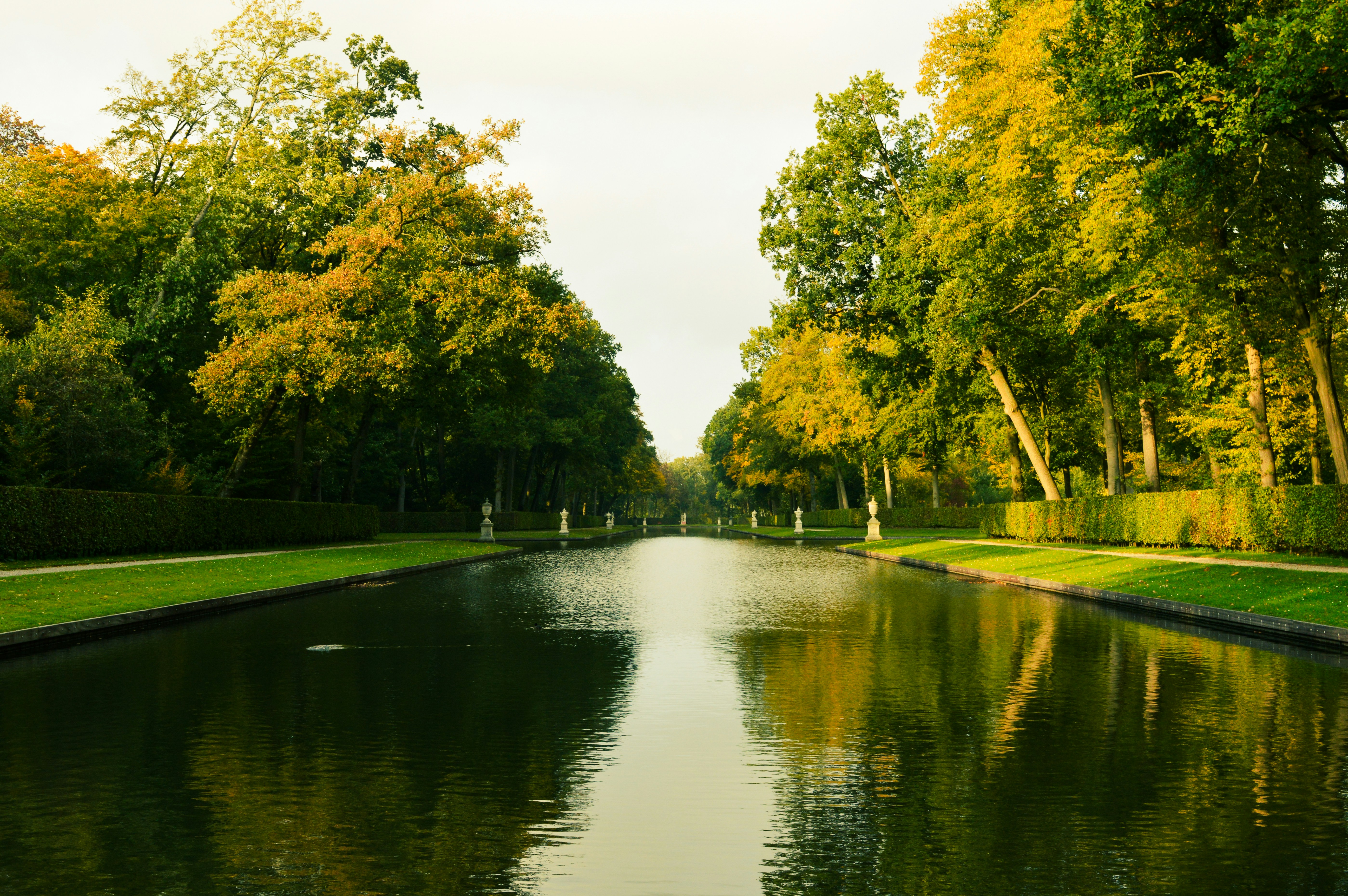 green trees beside river during daytime