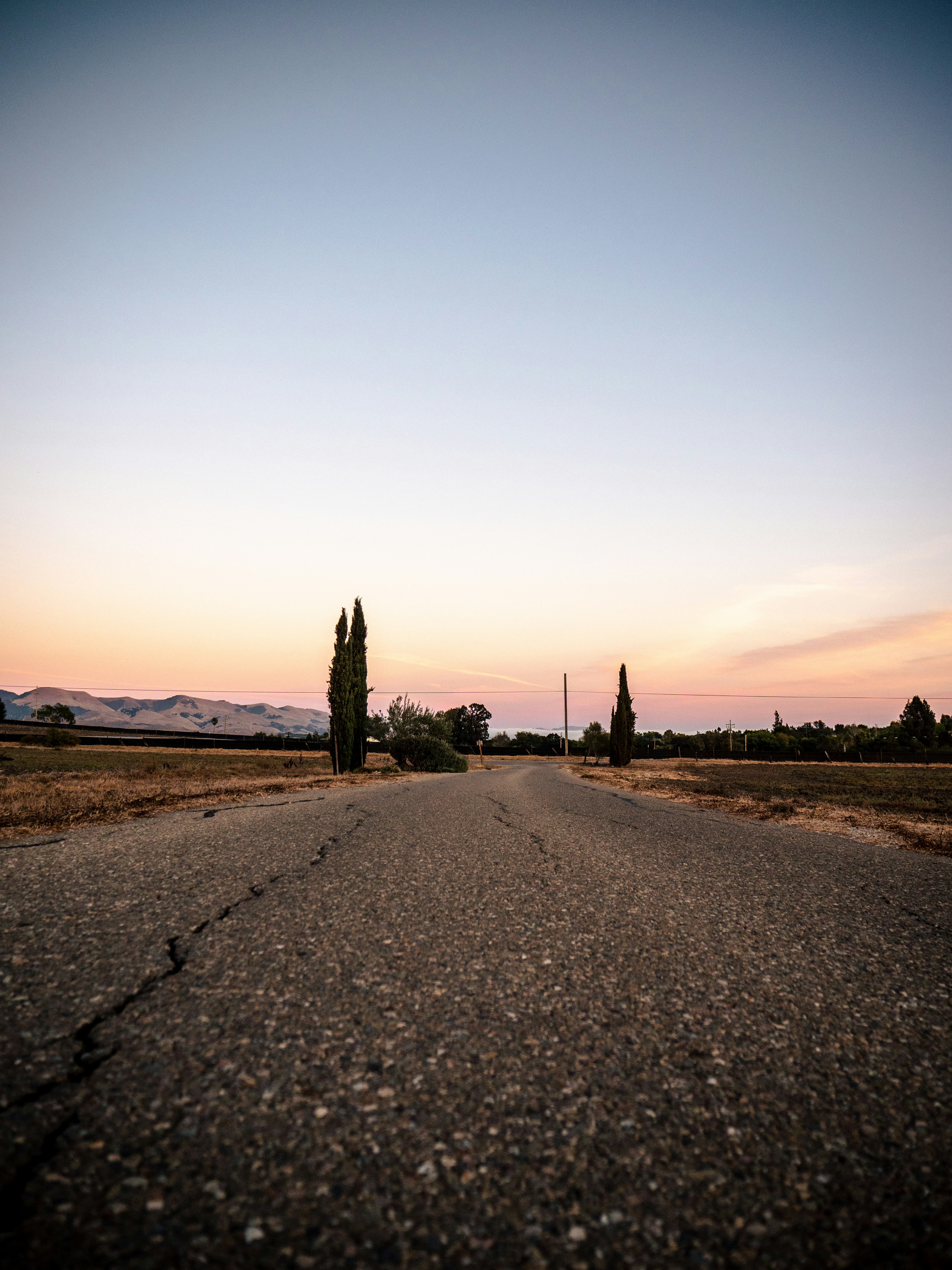 brown sand with green trees under white sky during daytime