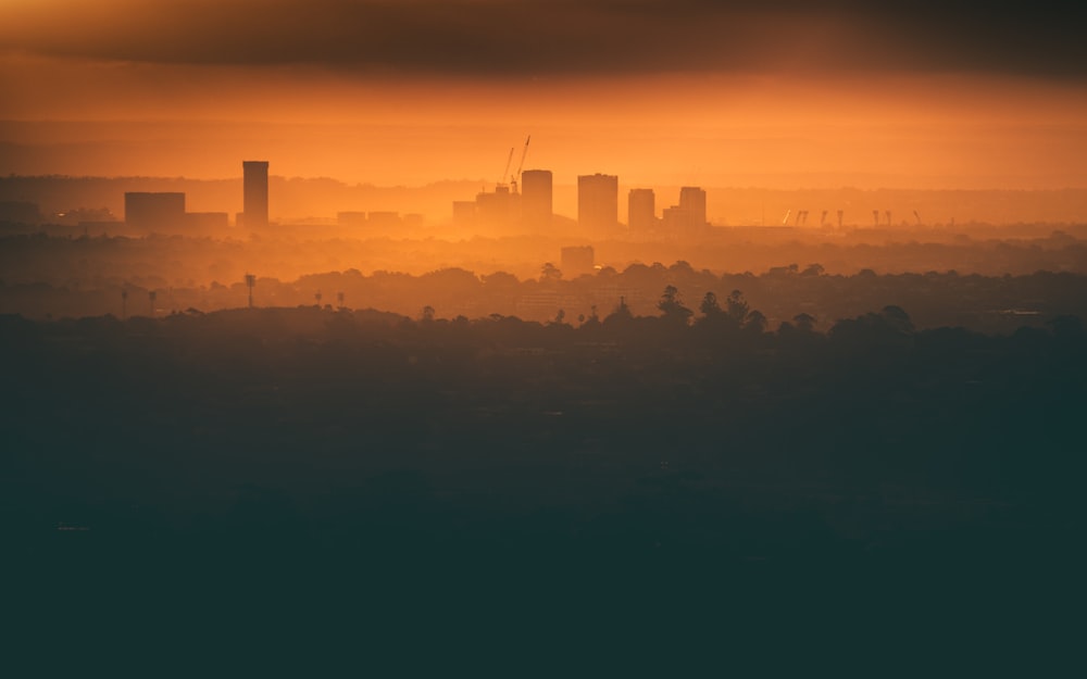 city skyline during night time