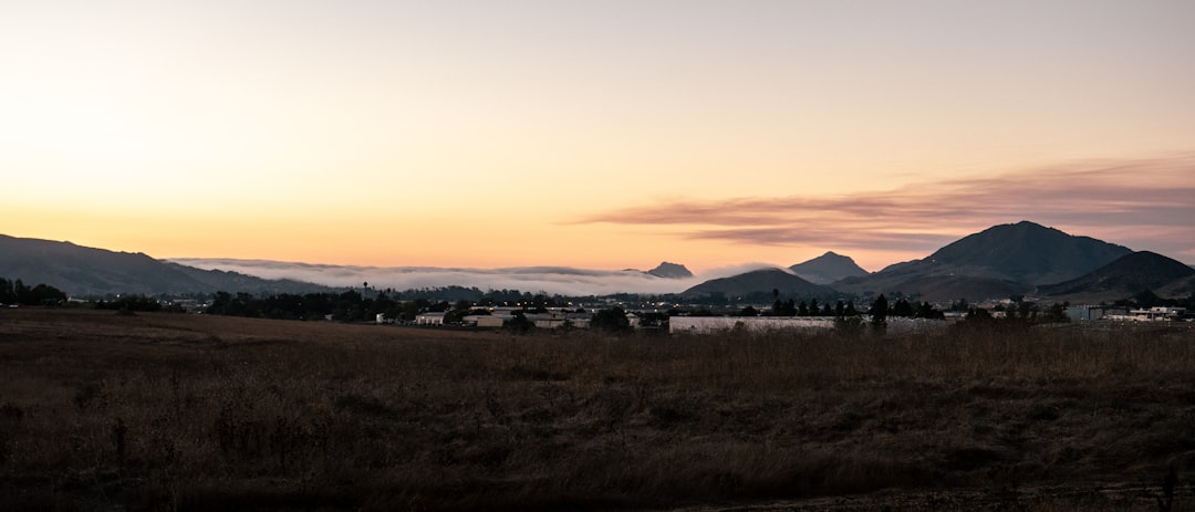 white and black house on brown field during sunset