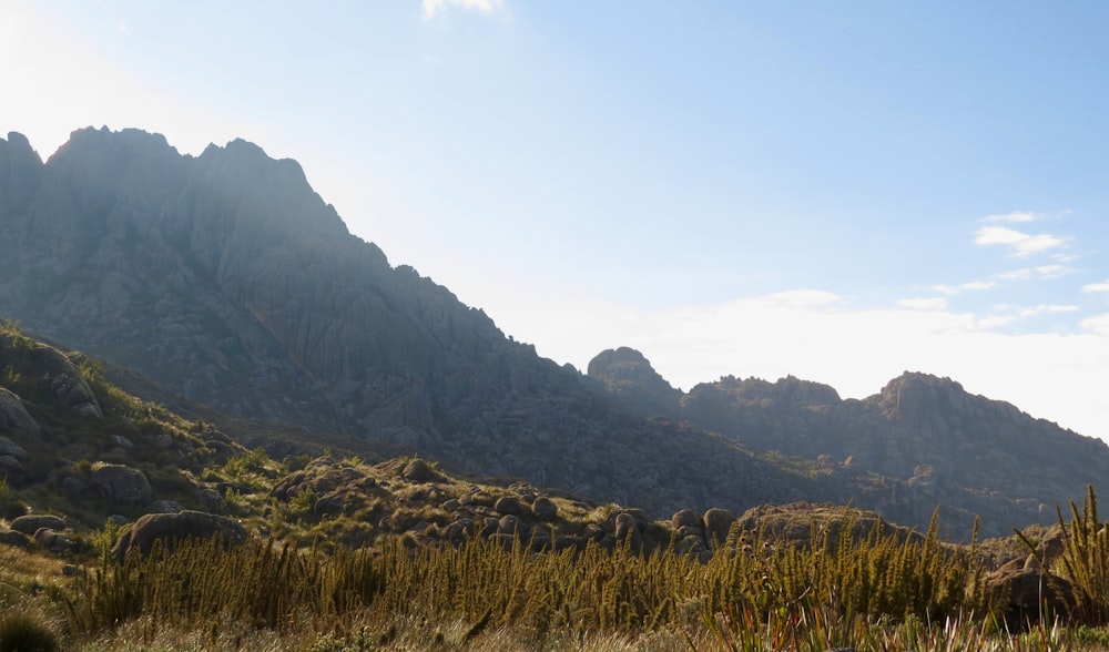 green and brown grass field near mountain during daytime