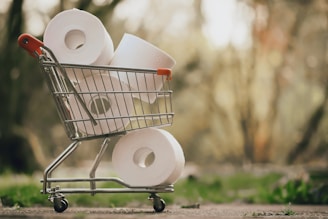 white tissue roll on stainless steel shopping cart