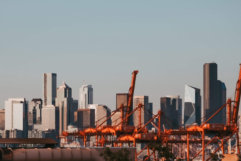 high rise buildings during daytime