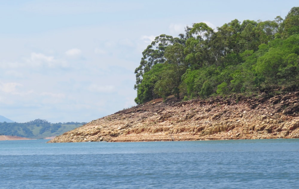 green trees on brown mountain beside blue sea during daytime