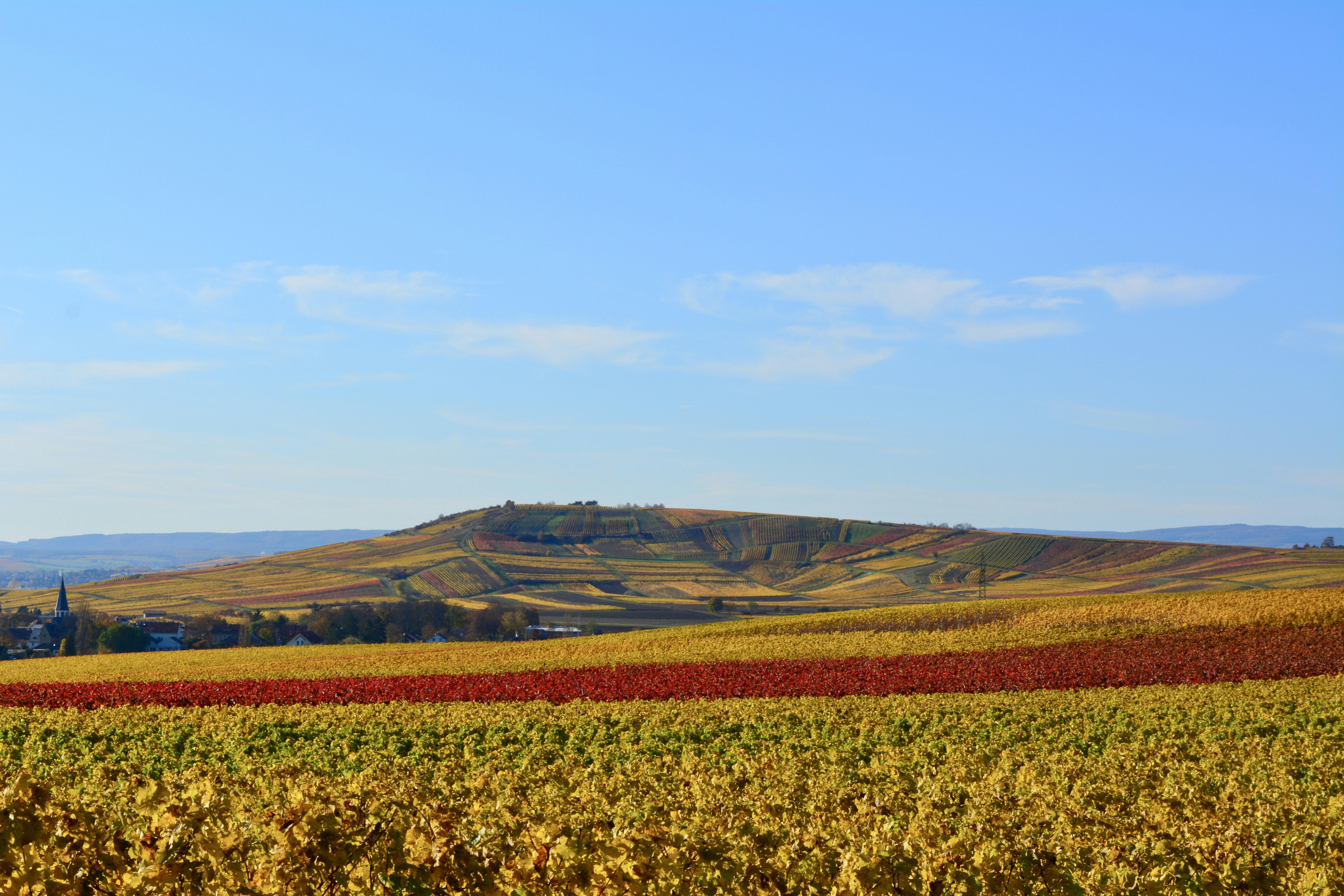 Photo by michael_ender