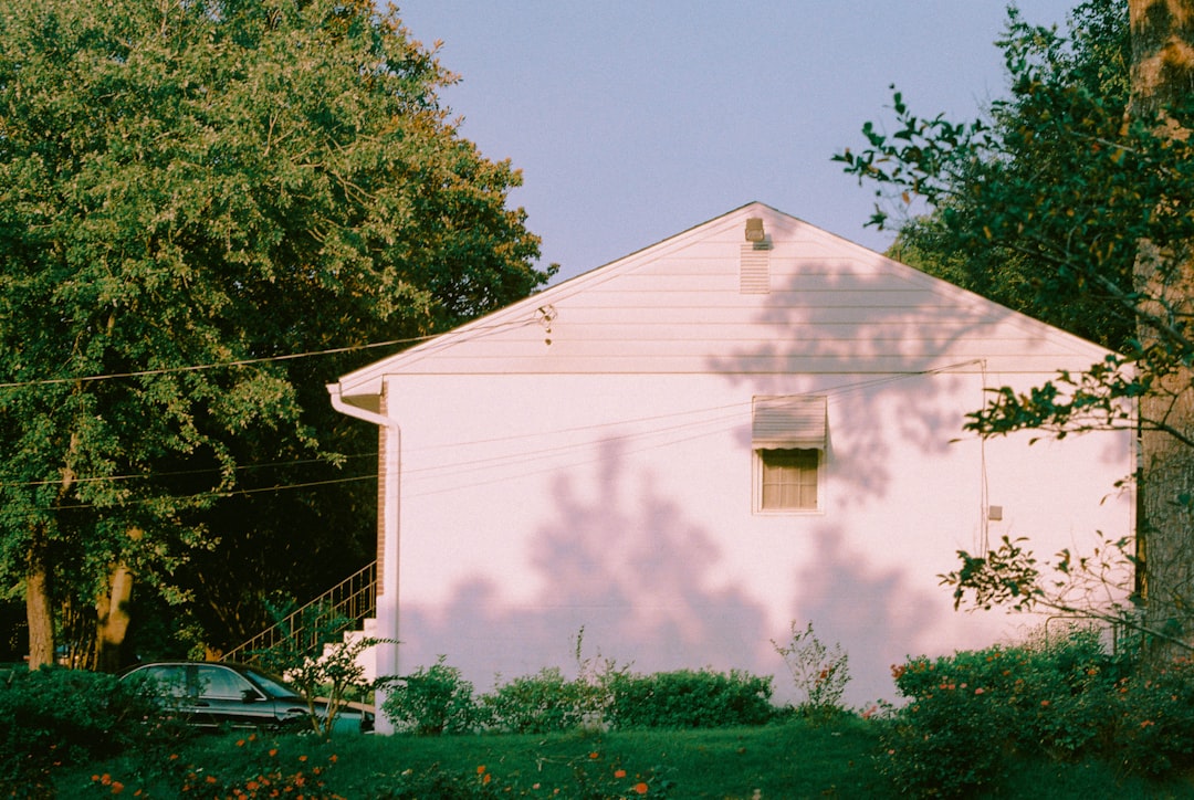 white house near green trees during daytime