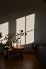 A serene morning scene with soft sunlight filtering through a window onto a cozy reading nook filled with plants and journals.