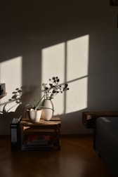 Soft natural light filtering through a window onto a minimalist desk with a single plant.
