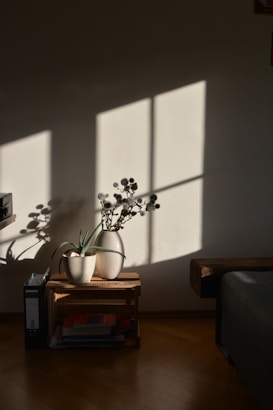 Soft sunlight filters through a window, casting geometric shadows on a plain wall. Two potted plants, one with spiky leaves and another with round clusters, sit on a small wooden crate filled with books. The scene is peaceful and minimalistic, with a cozy atmosphere.