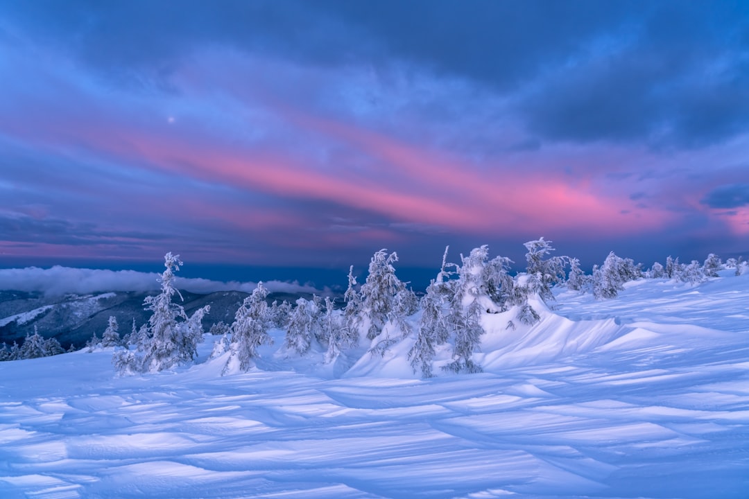 snow covered field under cloudy sky during daytime