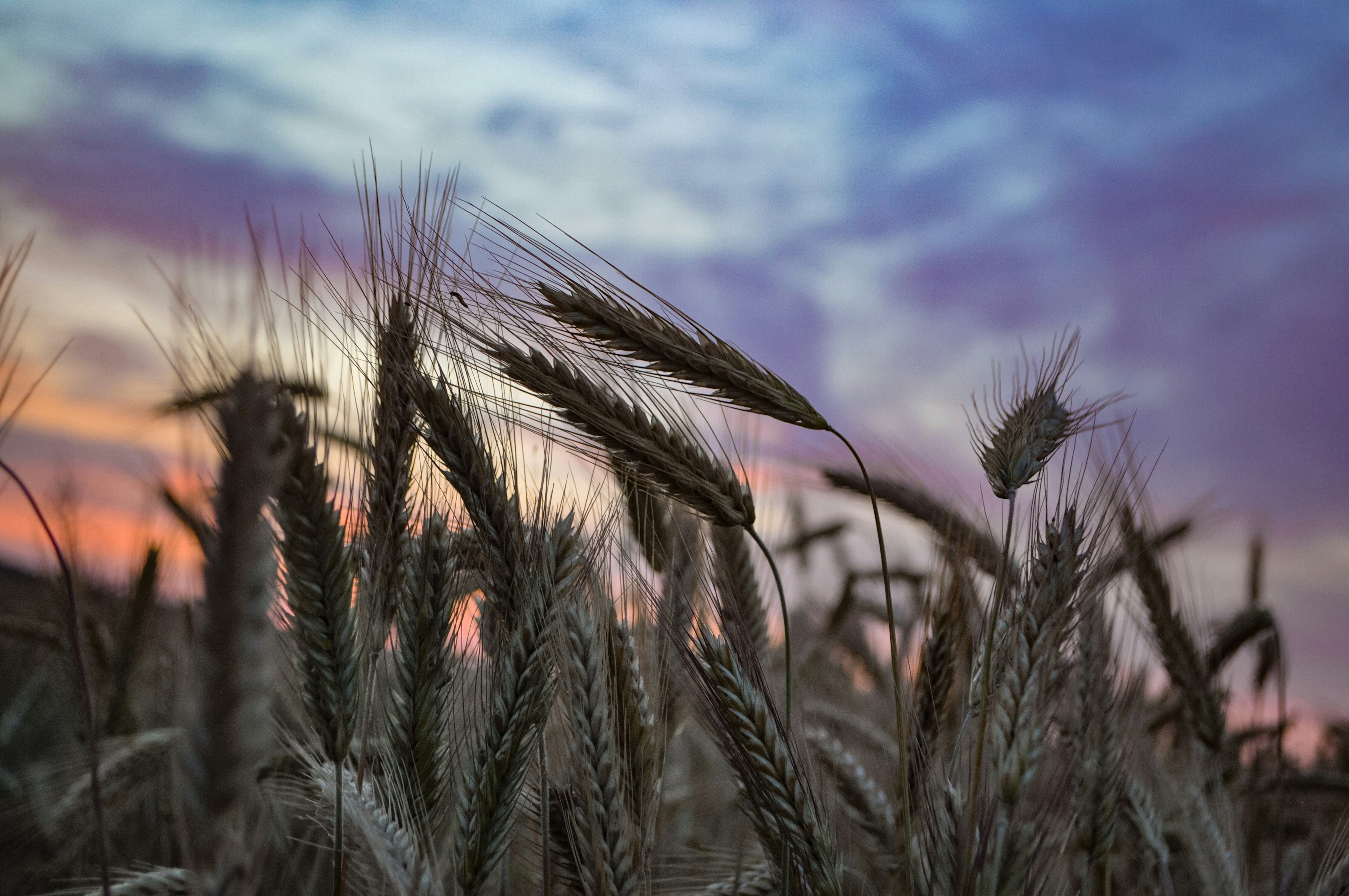 Photo by viidyak