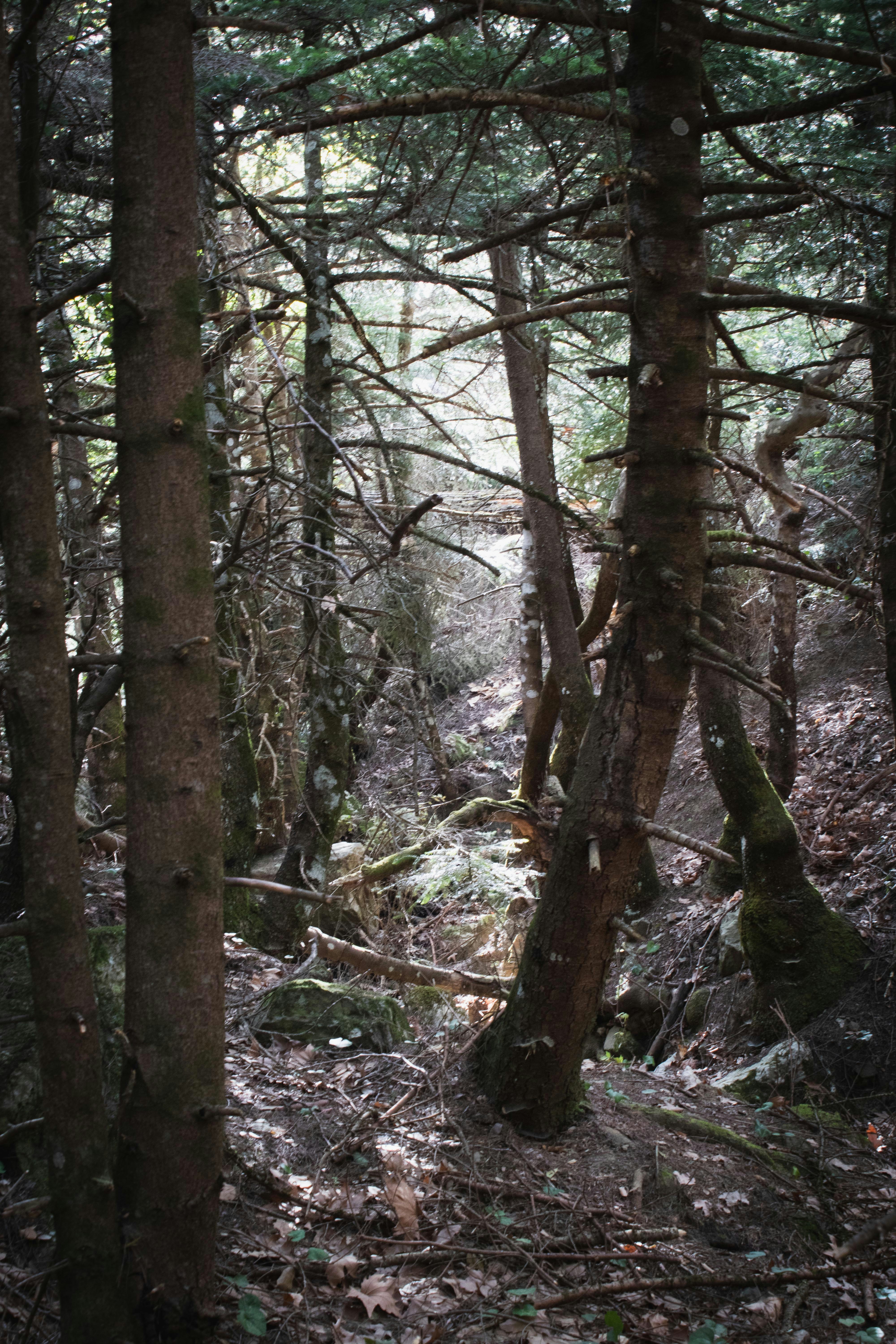 Photo by savvas_kalimeris