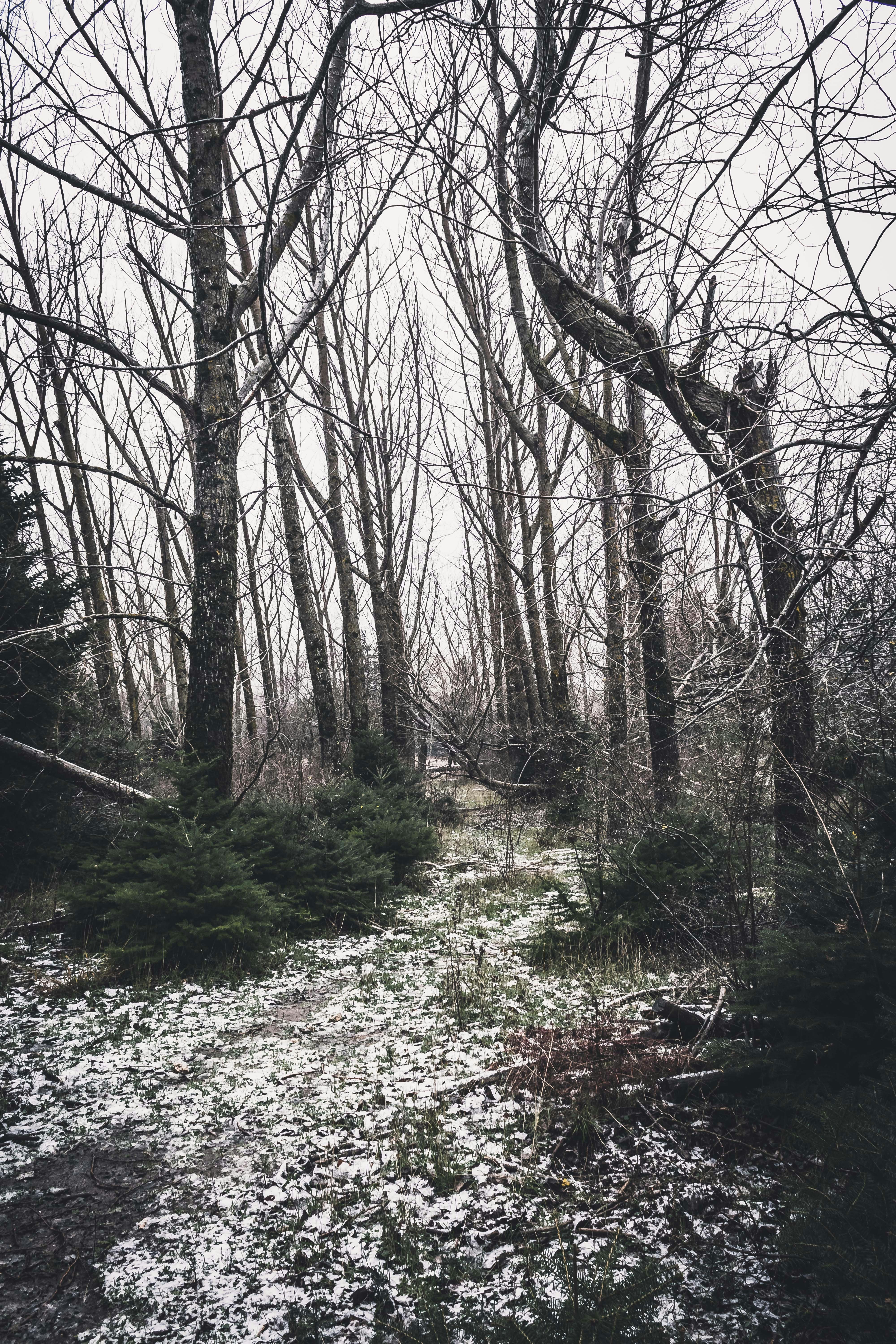 Photo by savvas_kalimeris