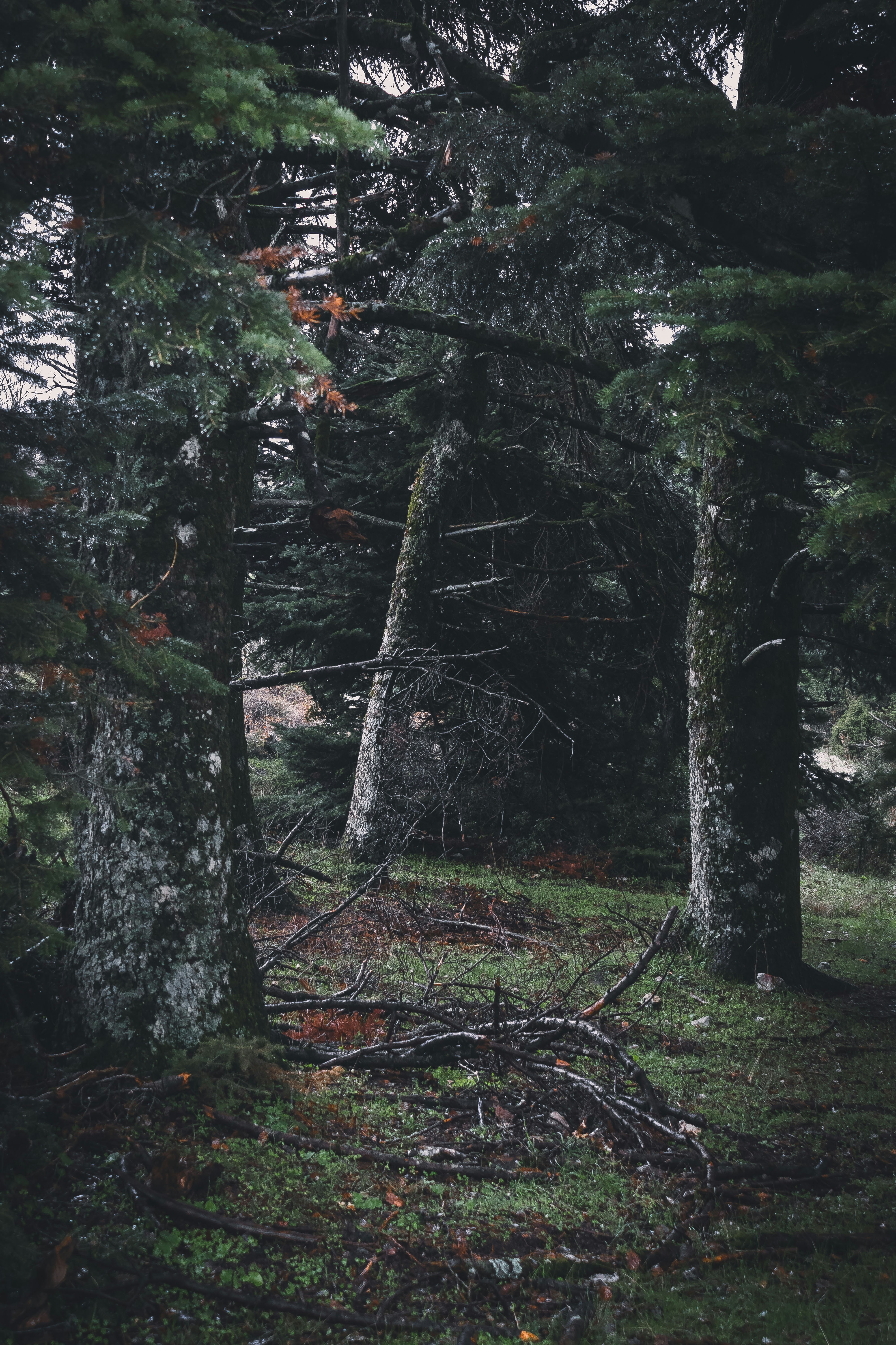 Photo by savvas_kalimeris