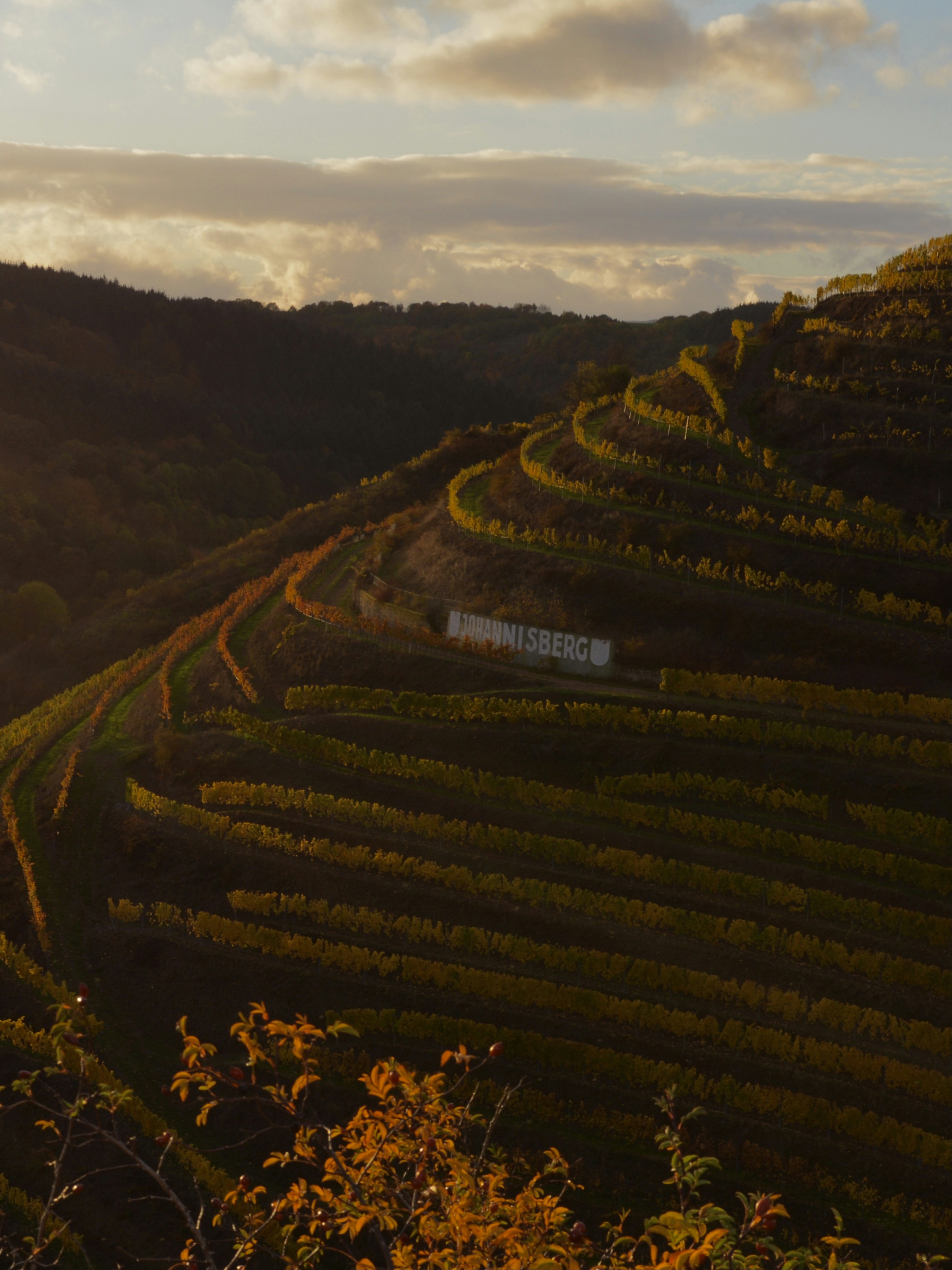 Photo by michael_ender