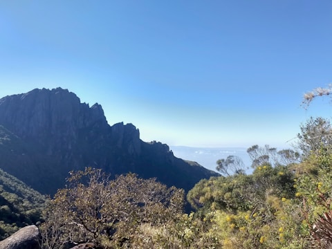 Volunteers planting native trees along a mountain ridge under a clear blue sky.