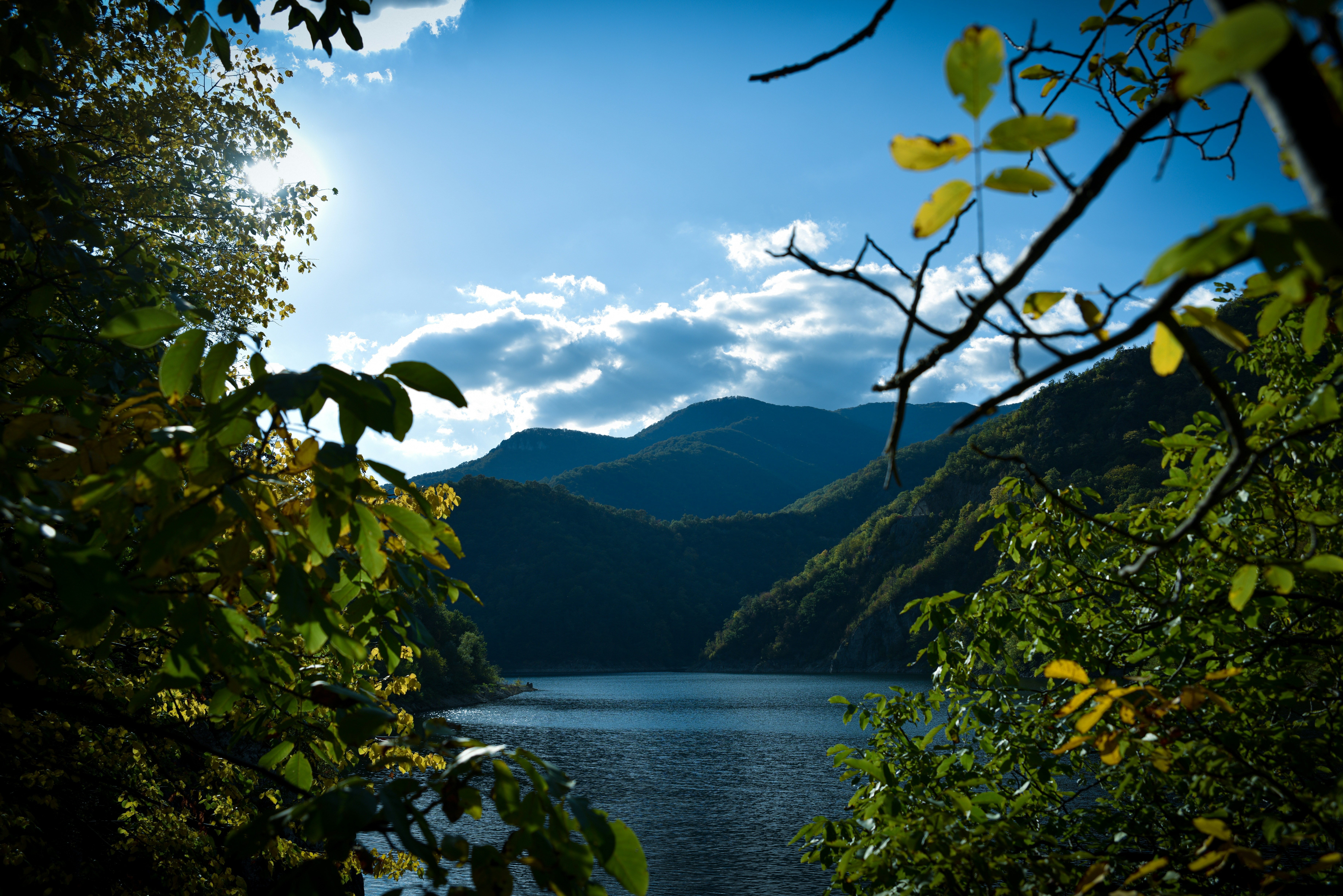 Photo by tufisalexandru