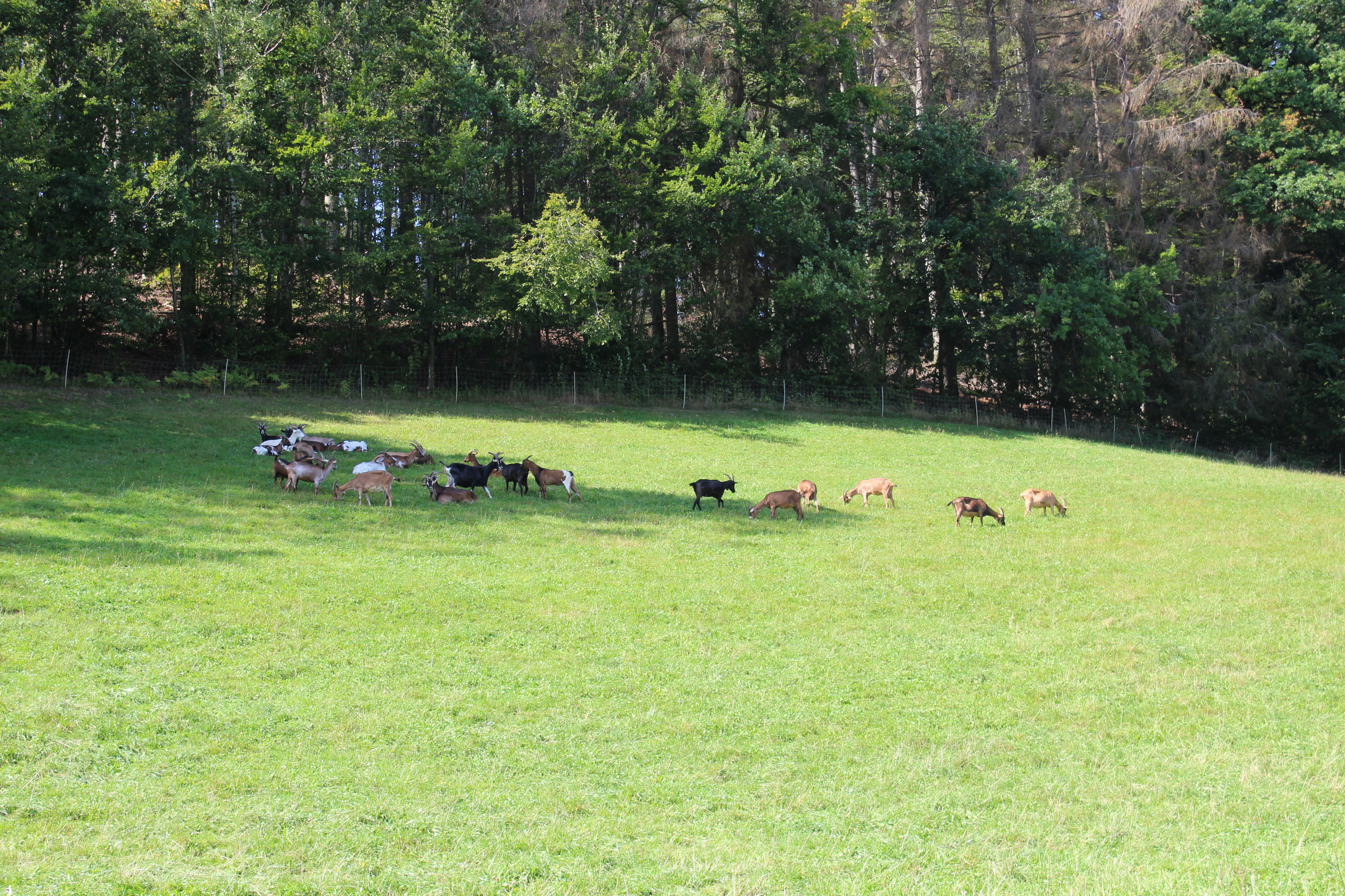 Photo by weirdowizard