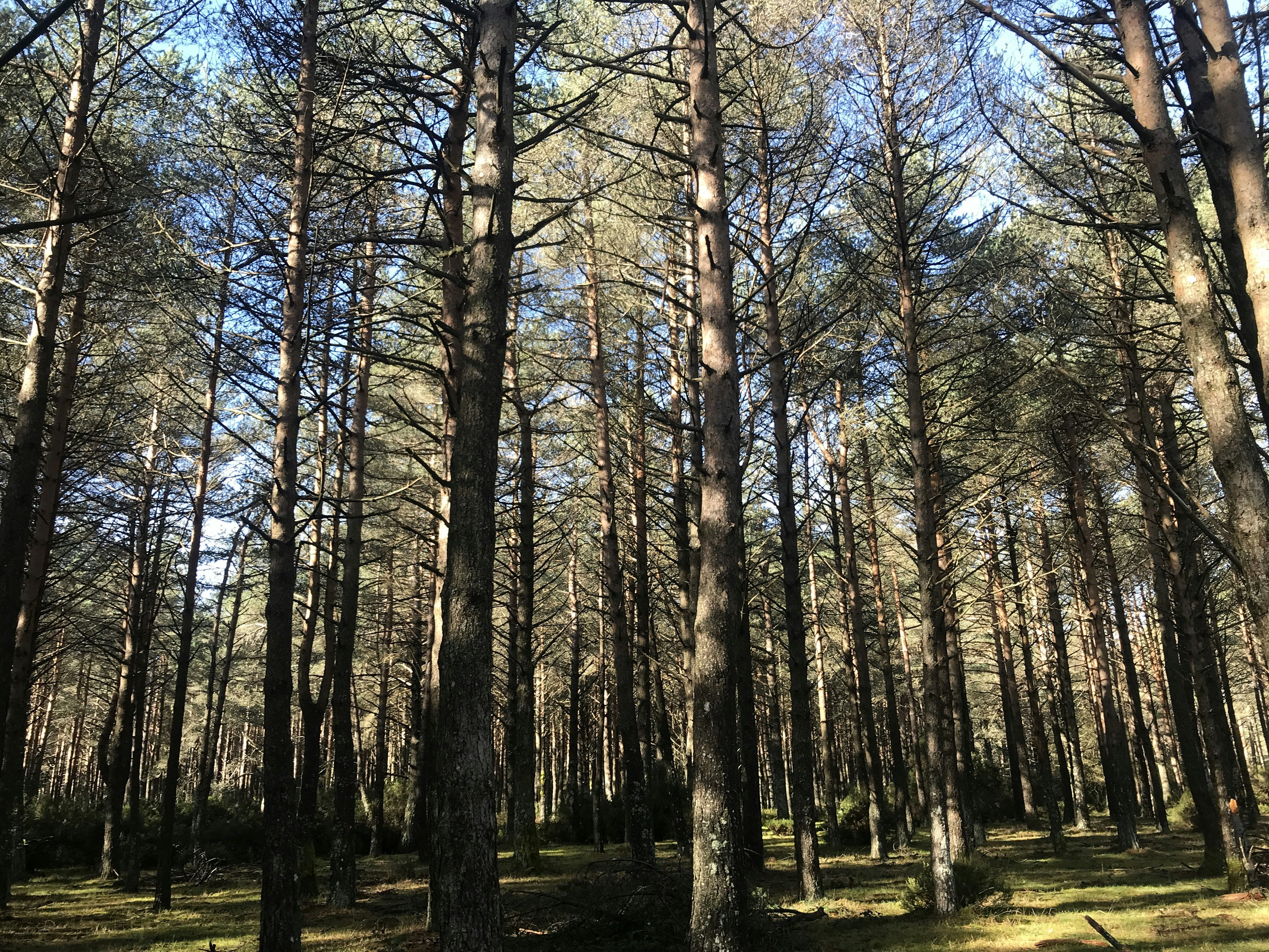 Photo by josefdzconde