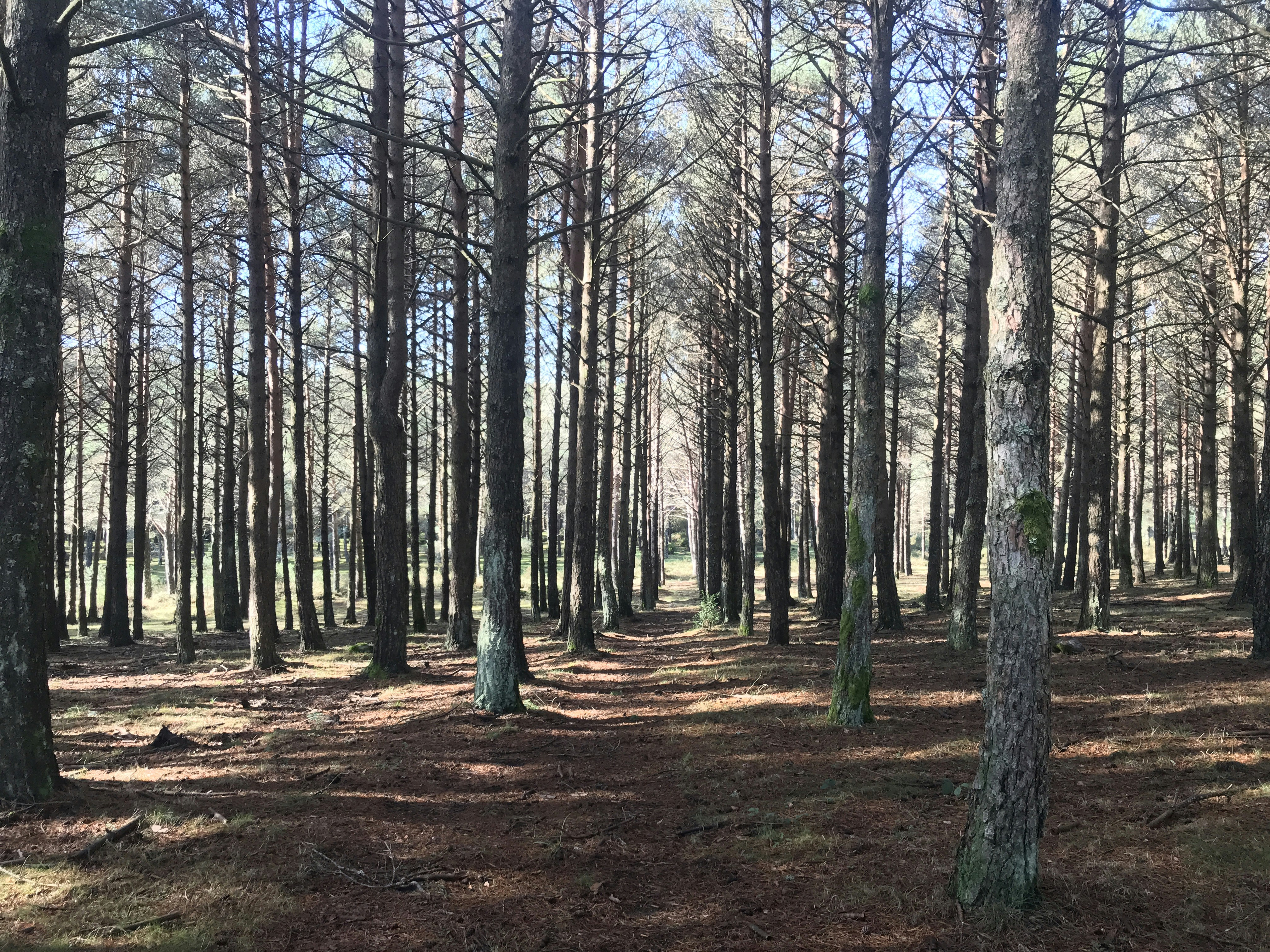 Photo by josefdzconde