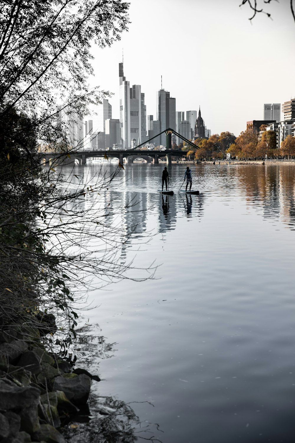 body of water near trees and buildings during daytime