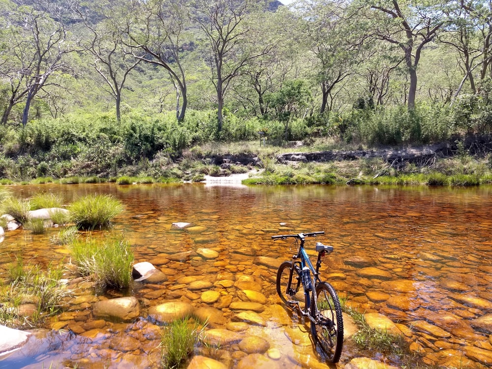 Bicicleta de montaña negra en el río durante el día