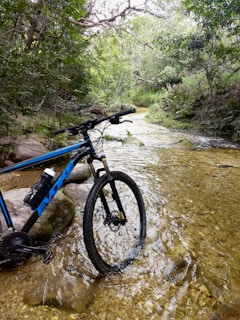 blue and black mountain bike on river