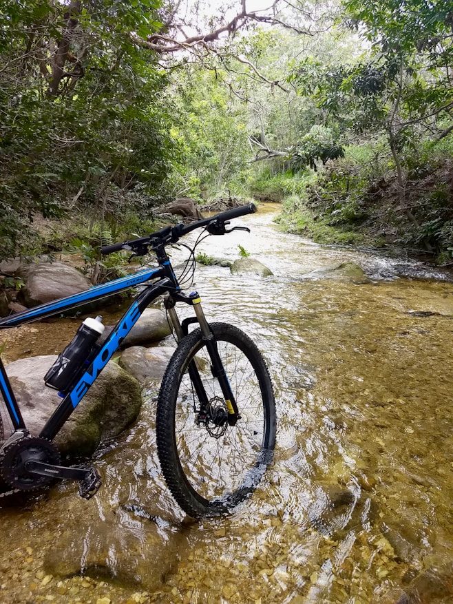 blue and black mountain bike on river