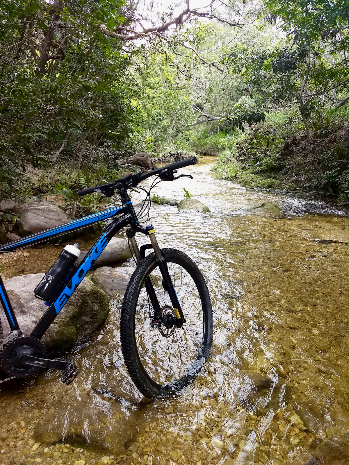 A mountain bike standing in a clear, shallow stream under trees in the Serra do Cipó