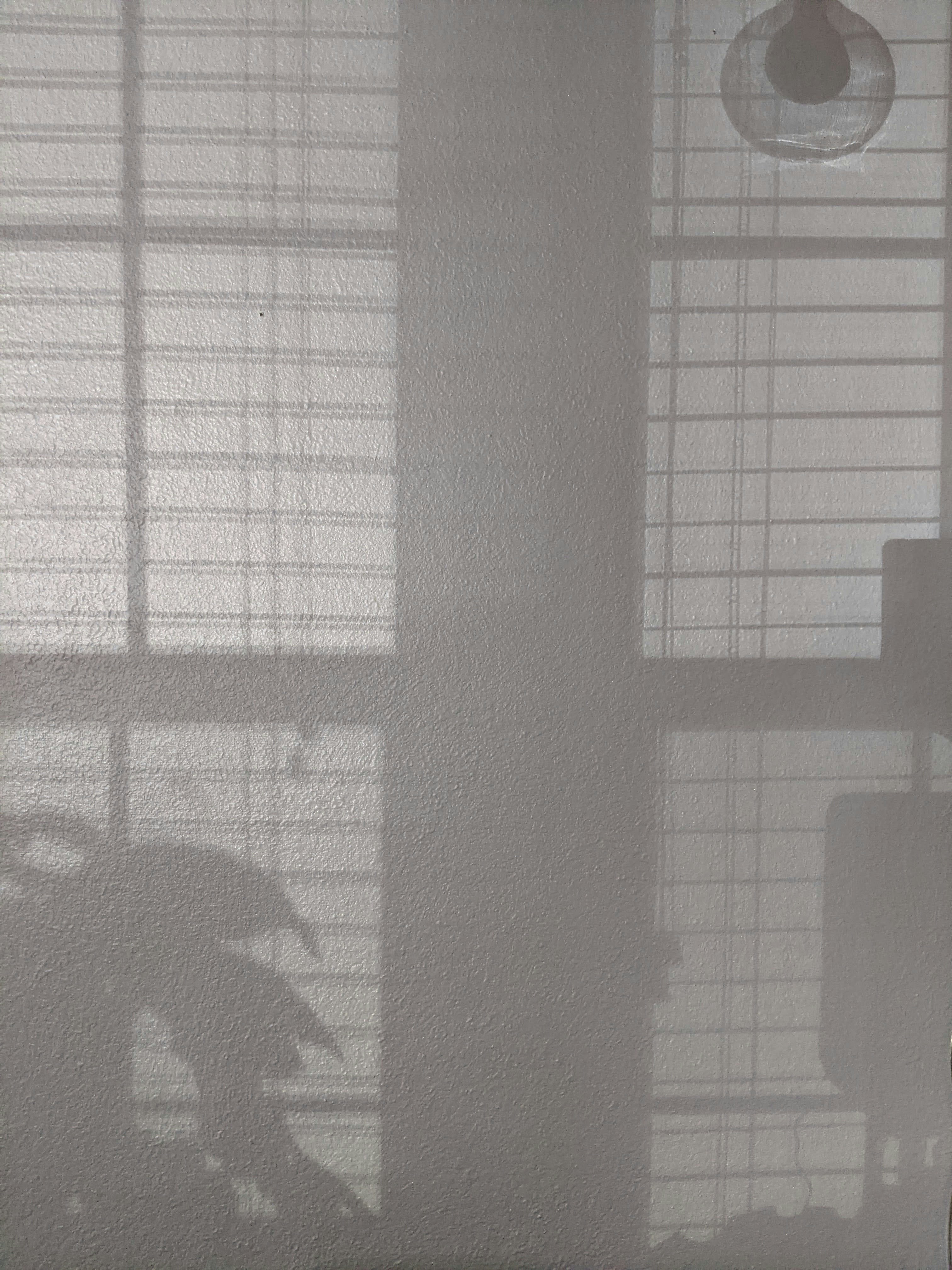 Photo by susan_wilkinson