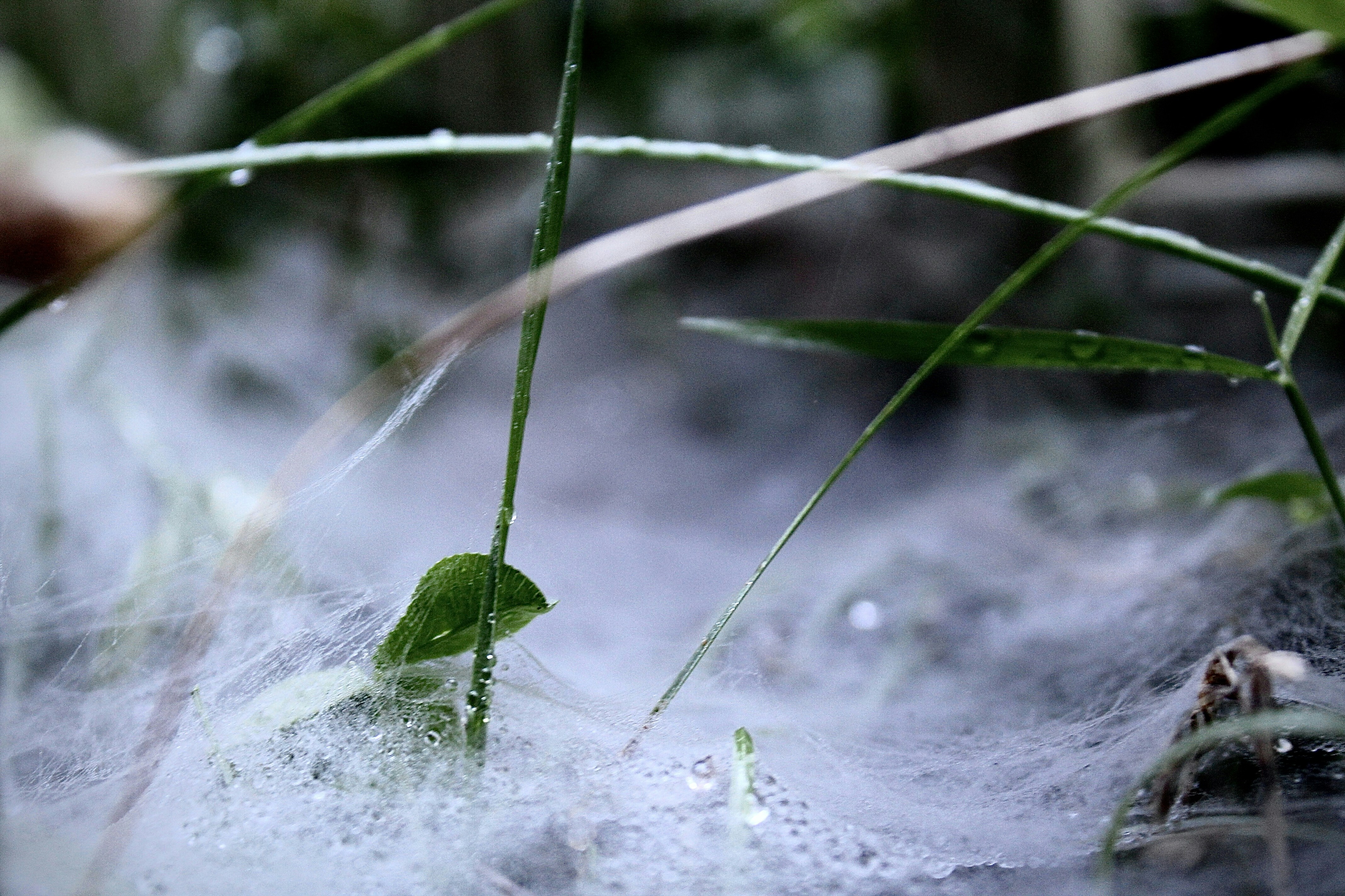 Photo by mr_matehead