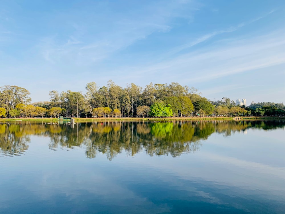 alberi verdi accanto al lago sotto il cielo blu durante il giorno