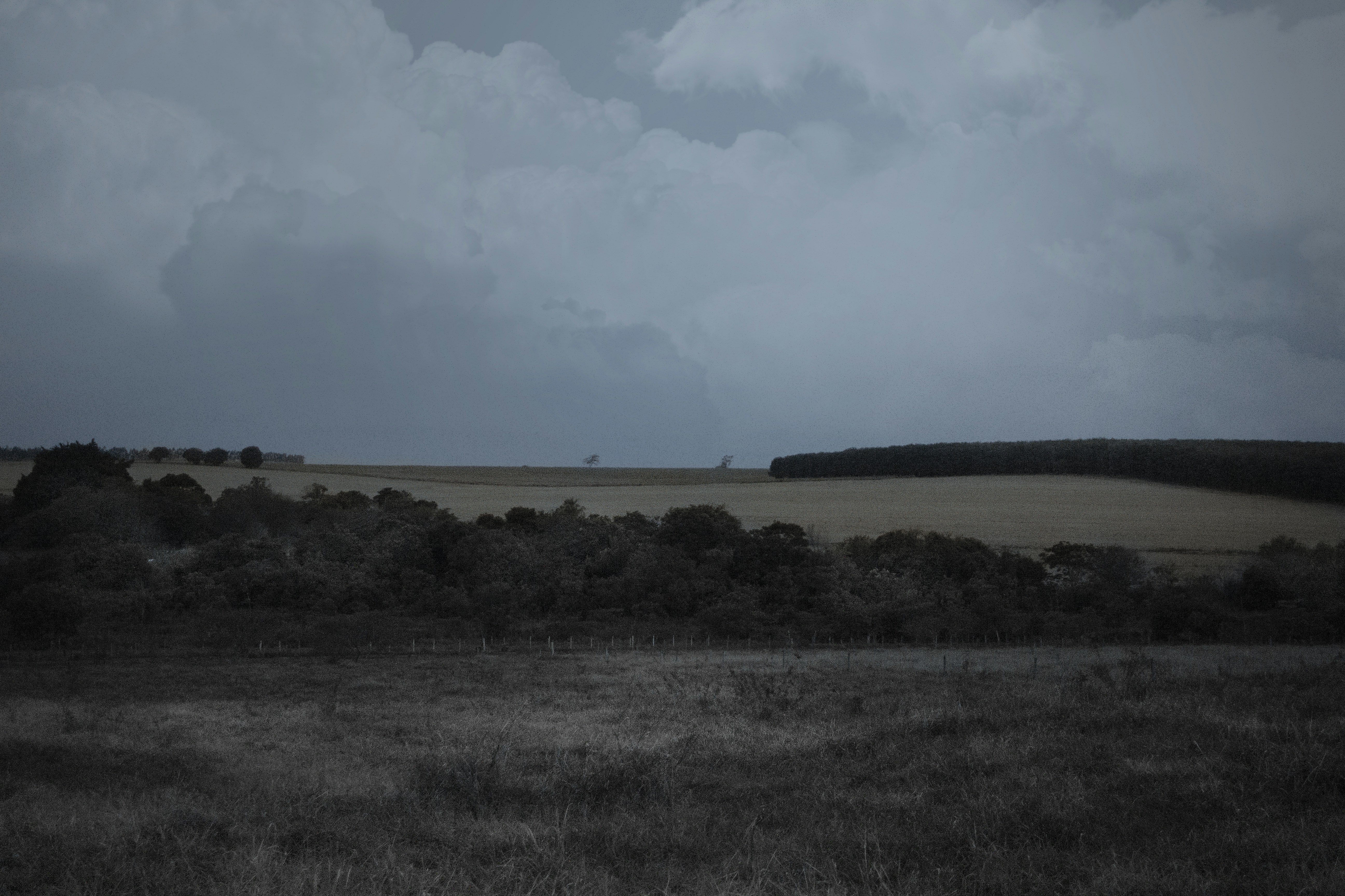 Photo by fredperpetuo