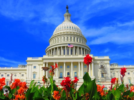 A grand neoclassical building with a large dome stands prominently under a clear blue sky. At the forefront, vibrant red and orange flowers with green leaves add a touch of nature, while an American flag waves atop the structure. Architectural details include columns and ornate facades.