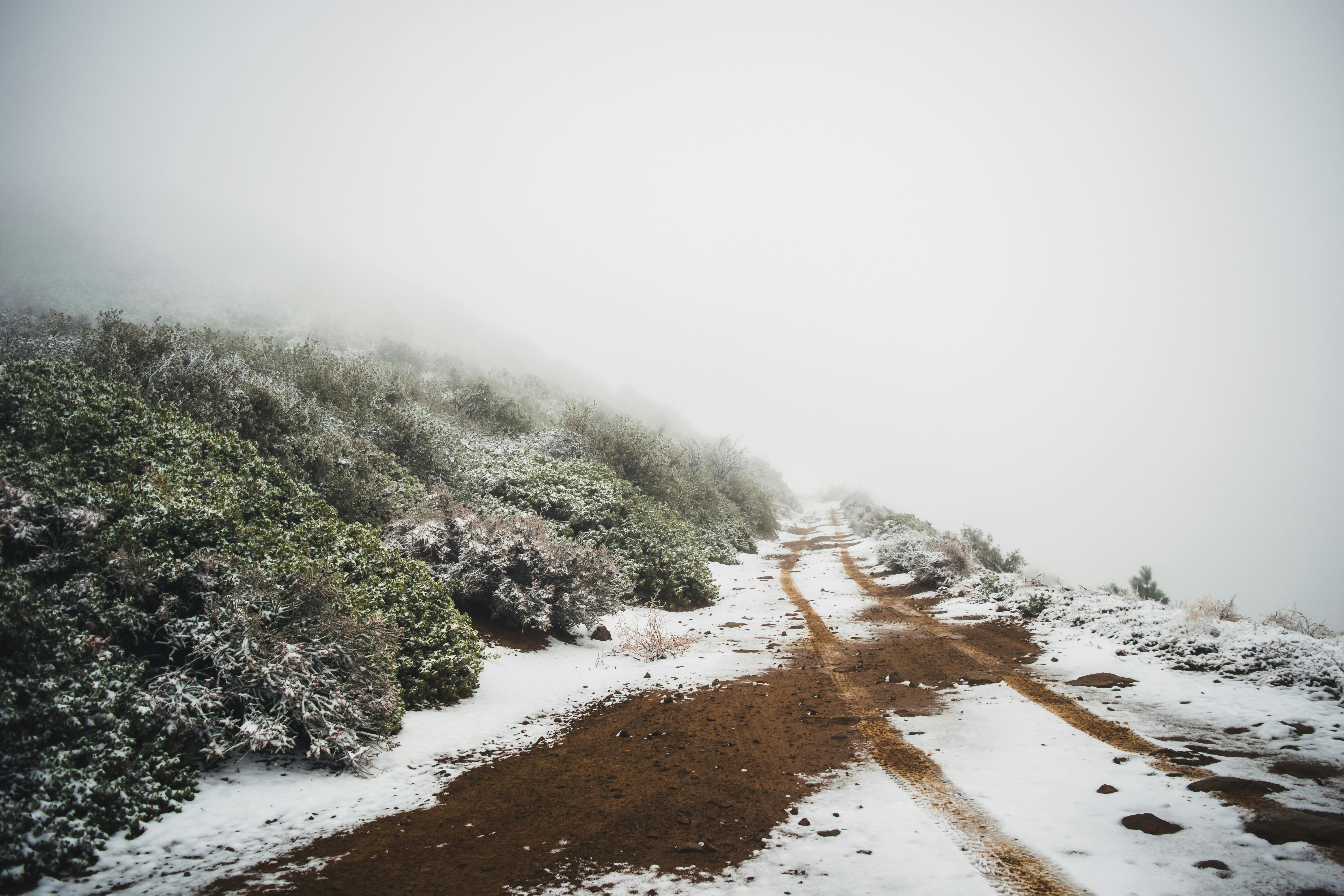 Photo by katie_musial