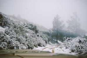 A rugged trail winding through a snowy forest under a cloudy sky.