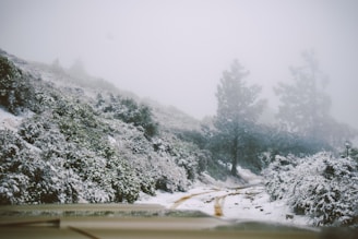 A rugged trail winding through a snowy forest under a cloudy sky.