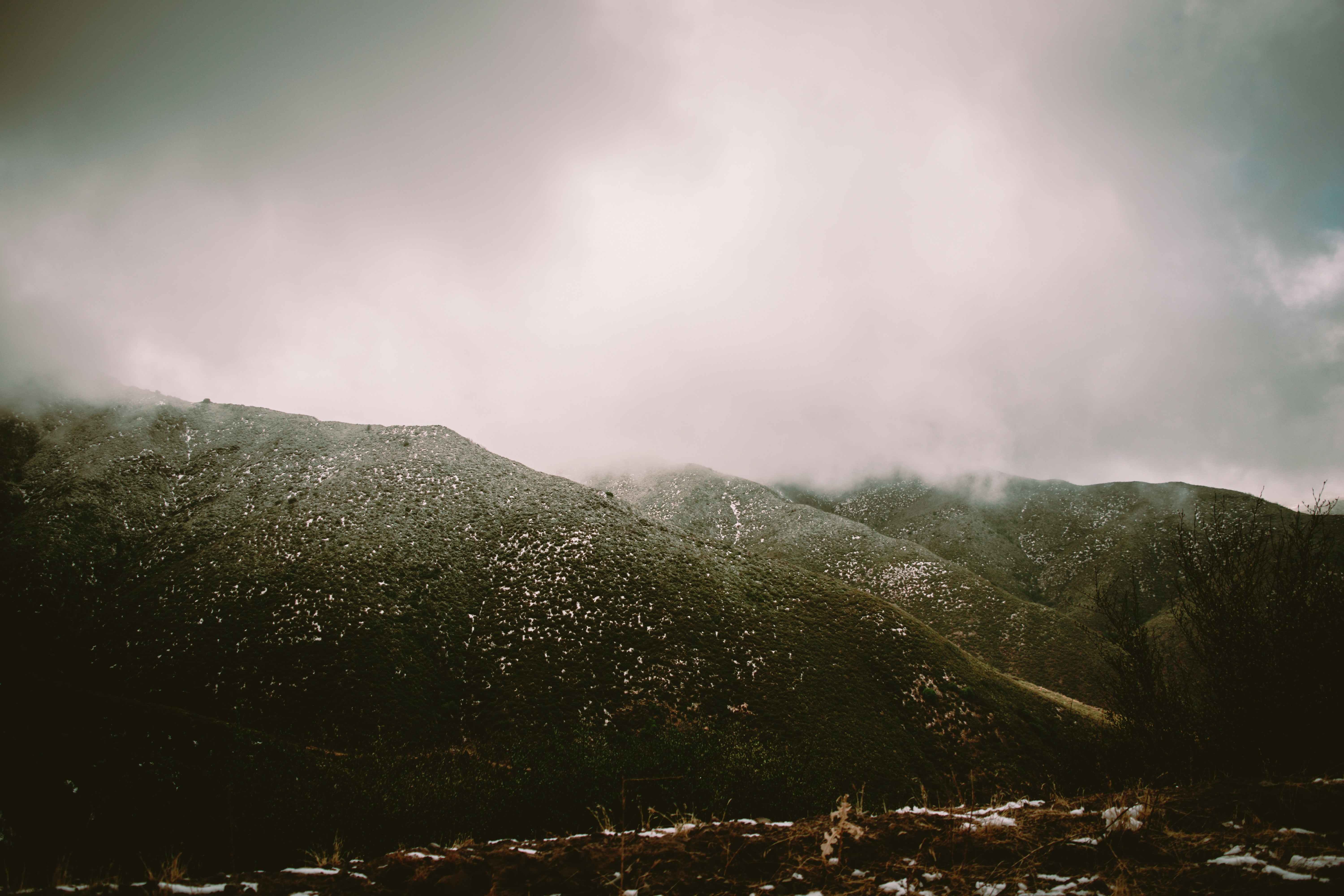 Photo by katie_musial