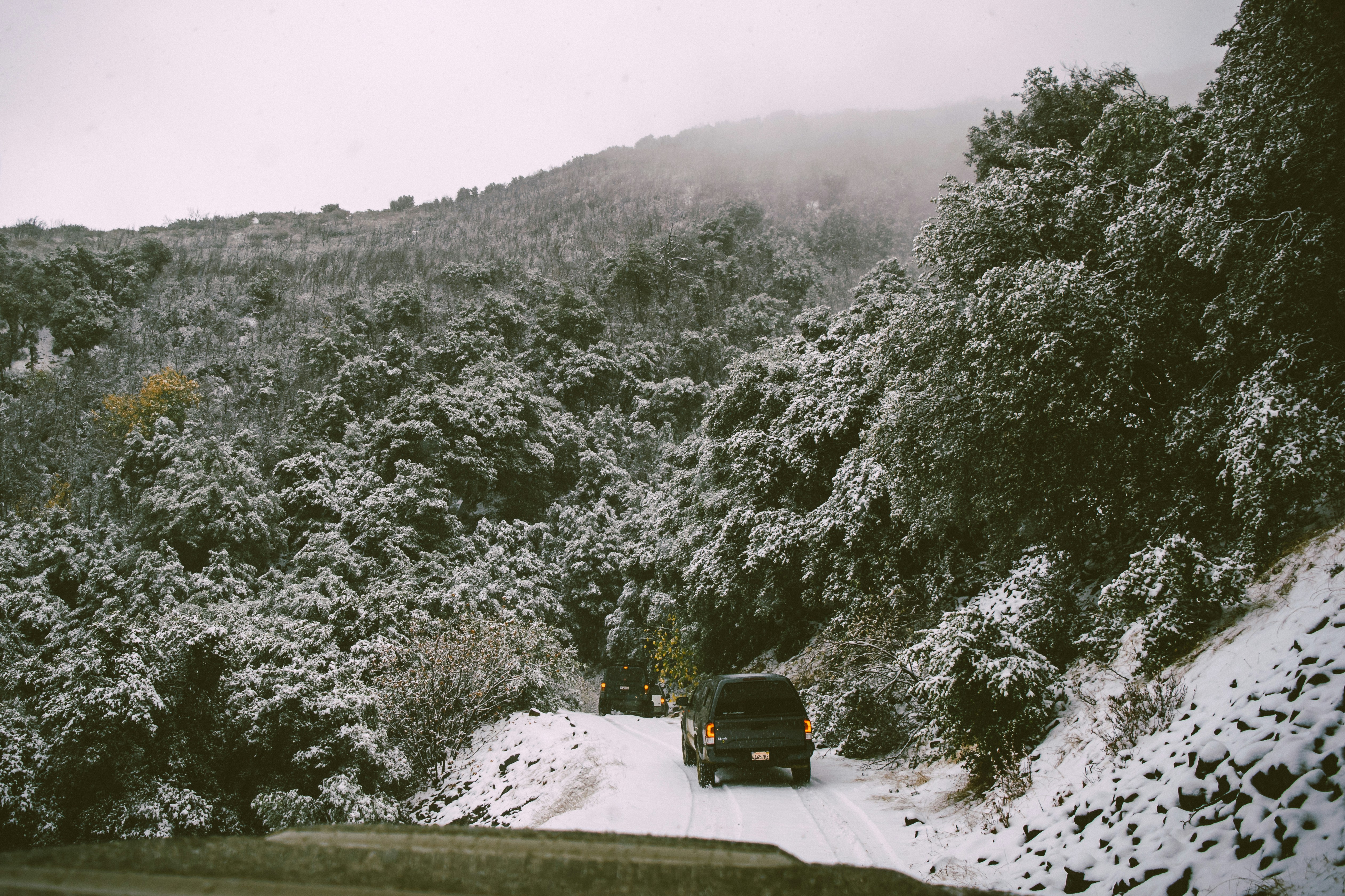 black suv on road near trees covered with snow during daytime, Off-roading on a trail in the Miranda Pine mountain range with Toyota Tacomas.