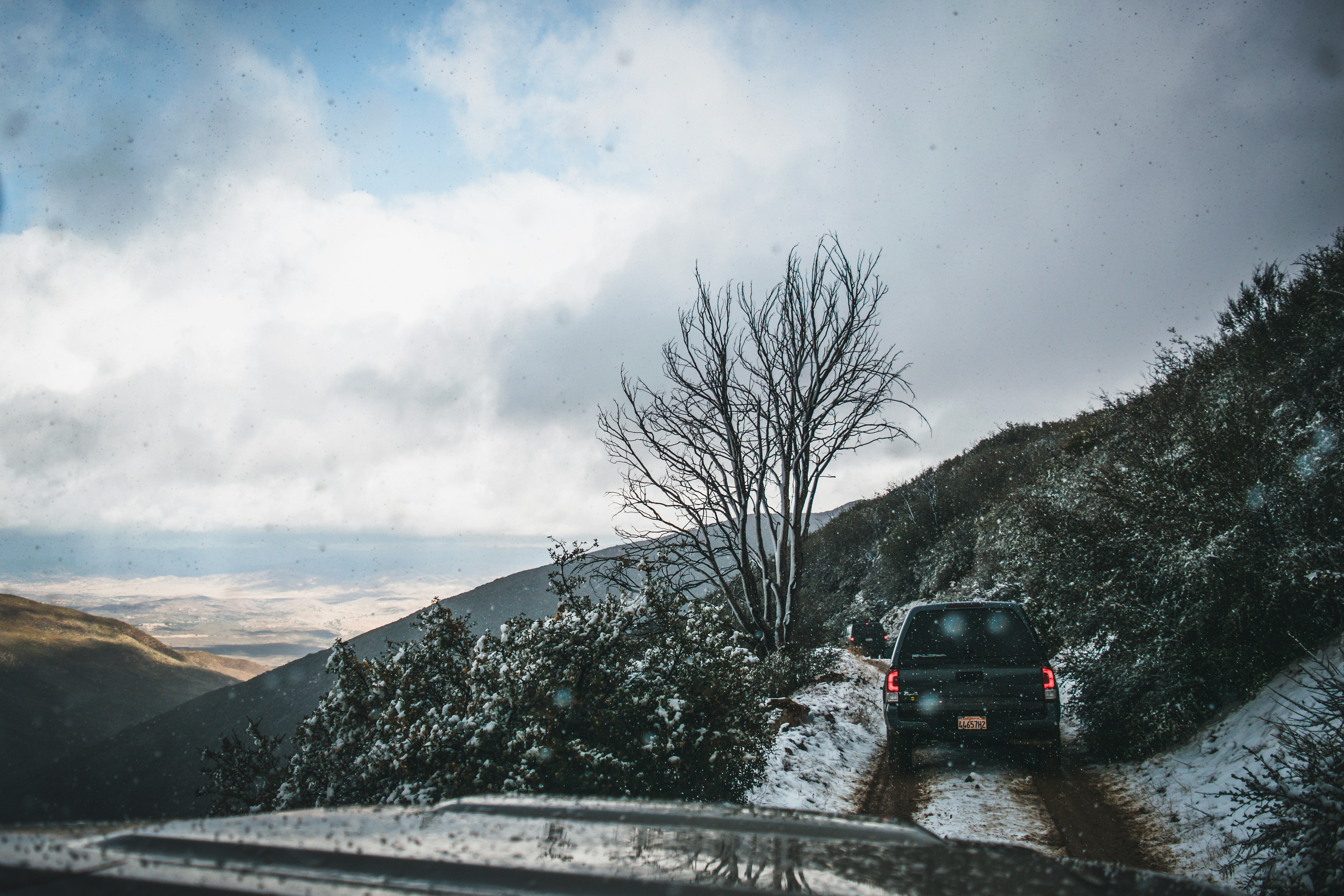 black suv on road near bare tree during daytime, Off-roading on a trail in the Miranda Pine mountain range with Toyota Tacomas.