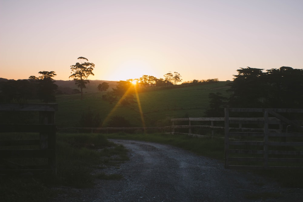 green grass field during sunset