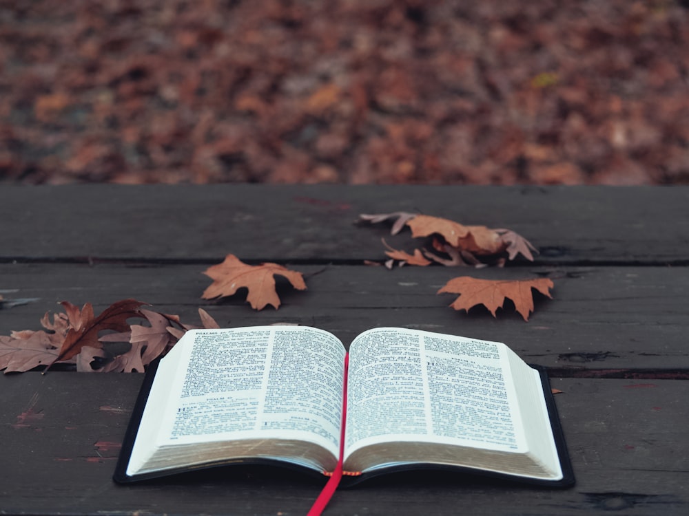 Livre ouvert sur table en bois brun