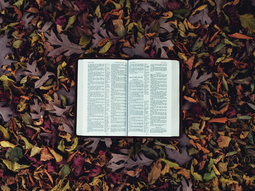 white book page on brown leaves