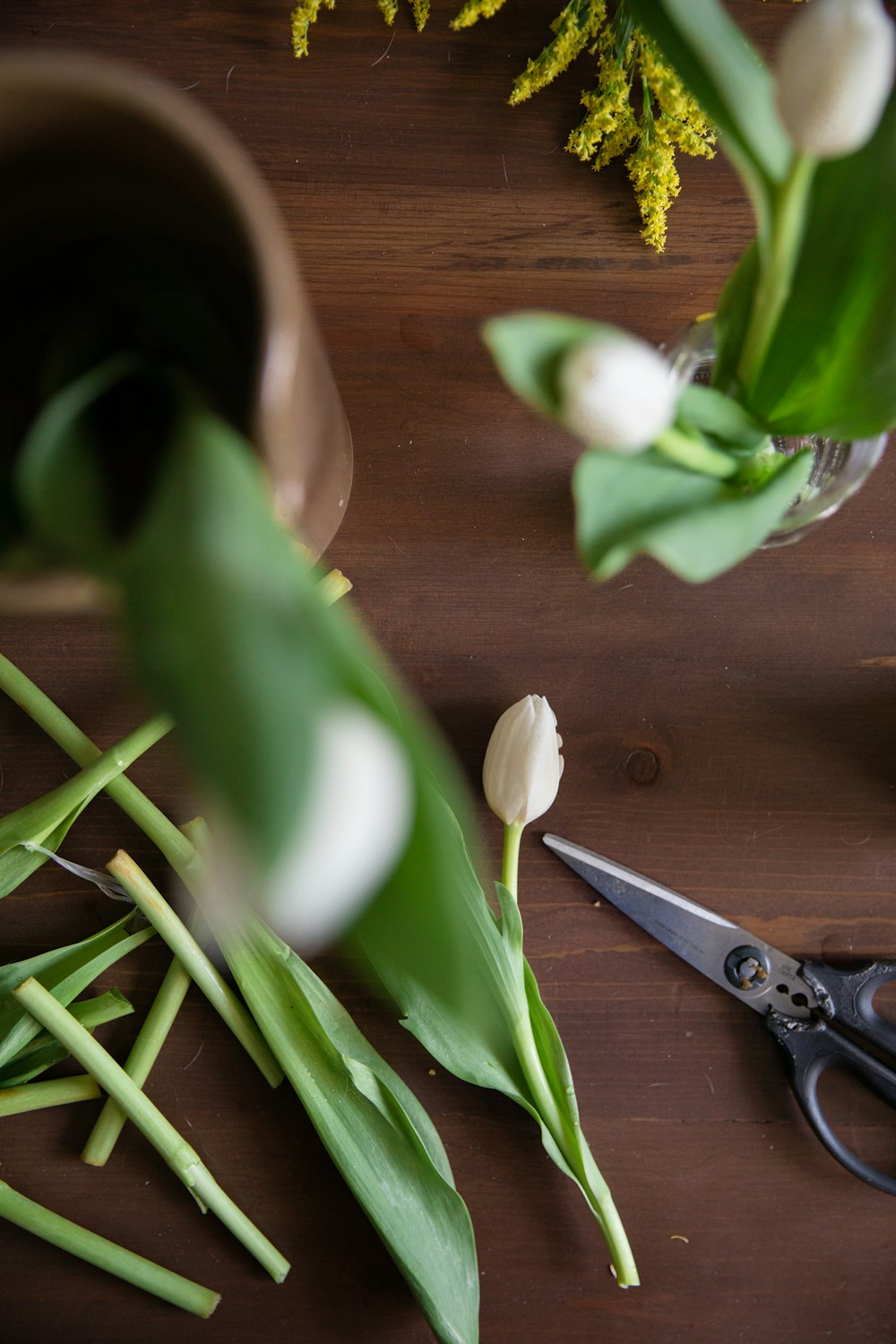 white flower on brown wooden table