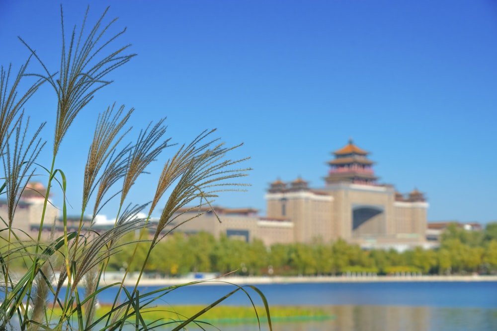 brown concrete building near body of water during daytime